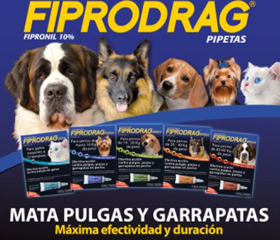 Más Información